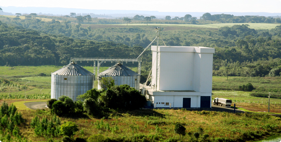 Foto horizontal, com vista aérea aproximada, da fábrica de rações de Guarapuava, com dois silos de armazenamento de ração à esquerda, um prédio branco de alvenaria à direita e grande área verde ao redor.