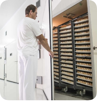 Foto vertical de homem, visto de lado, vestindo uniforme branco, em frente a um equipamento de armazenamento de ovos em um incubatório.